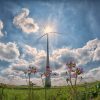 Comment bénéficier de la TVA à 5,5 % pour les travaux d’amélioration de la qualité énergétique ?
